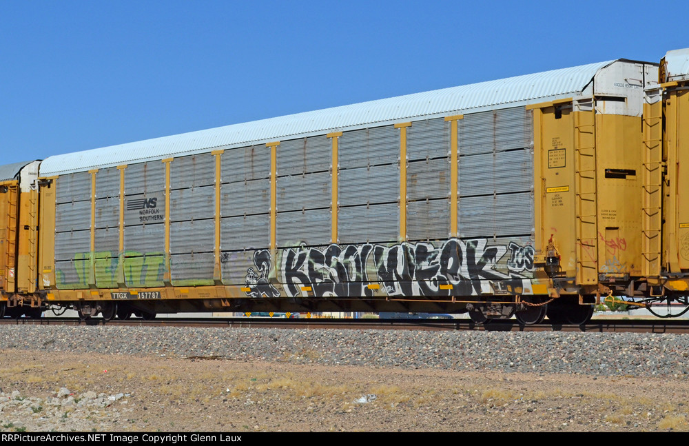 TTGX 157787