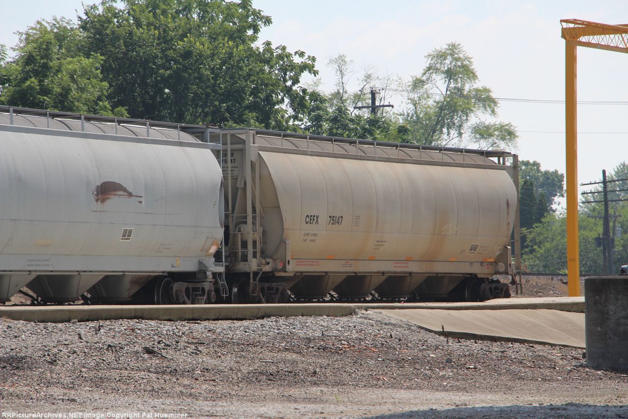 CEFX 75147