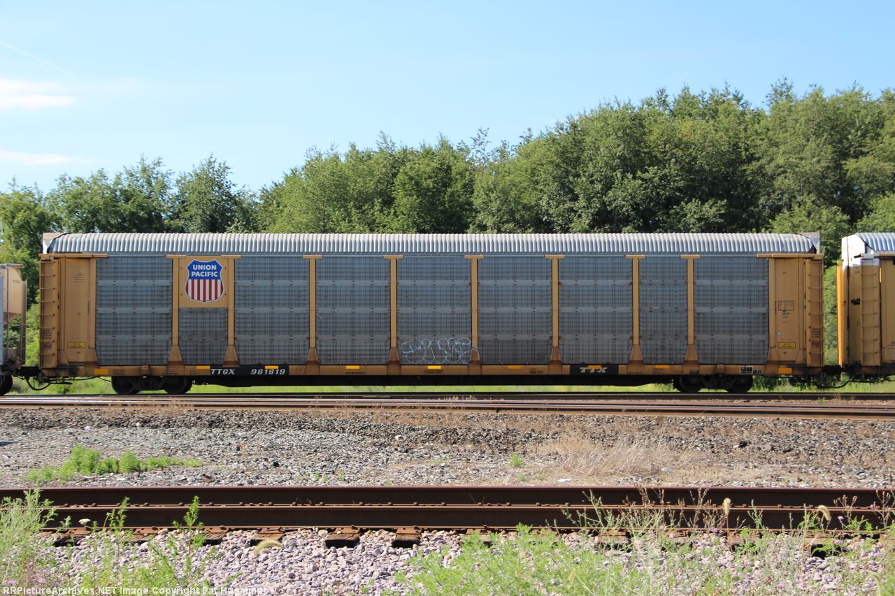 TTGX 981819