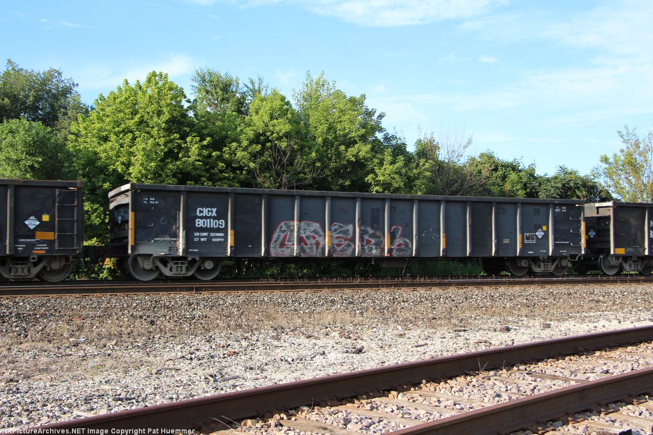 CIGX 801109