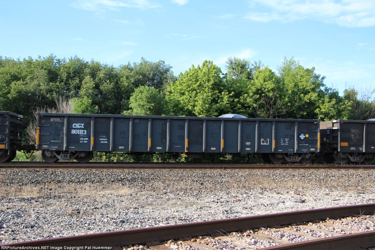 CIGX 801113