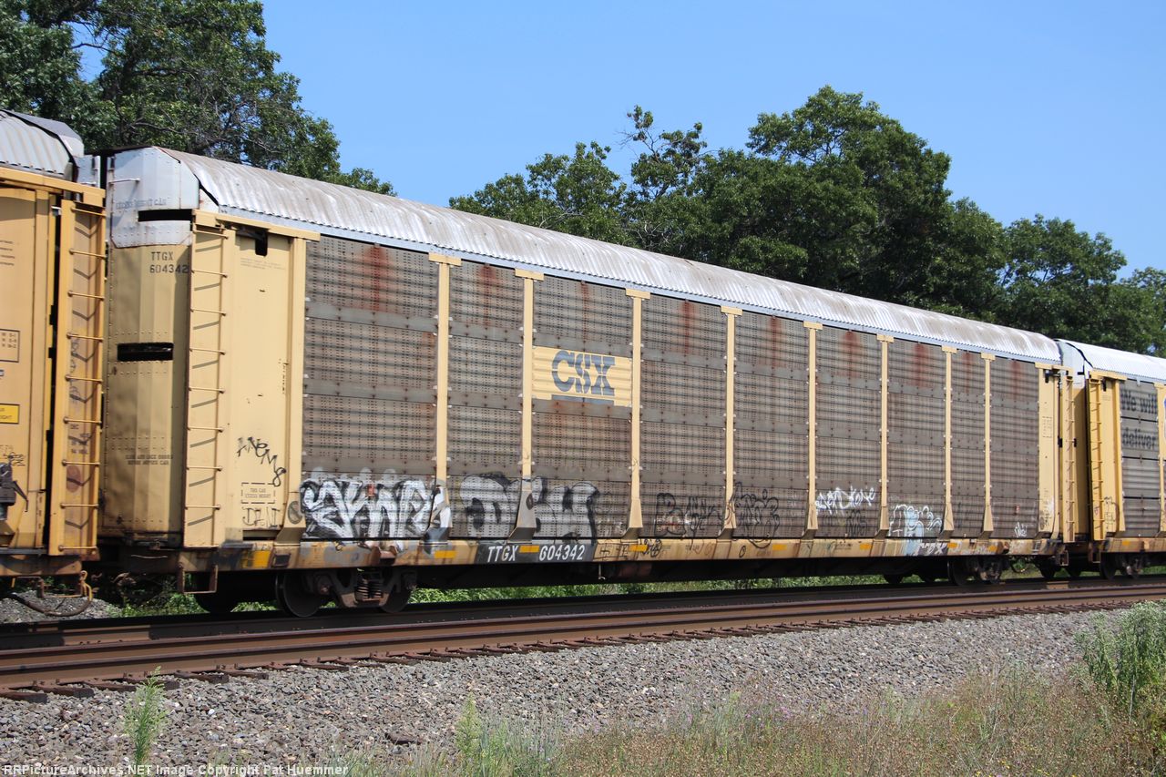 TTGX 604342
