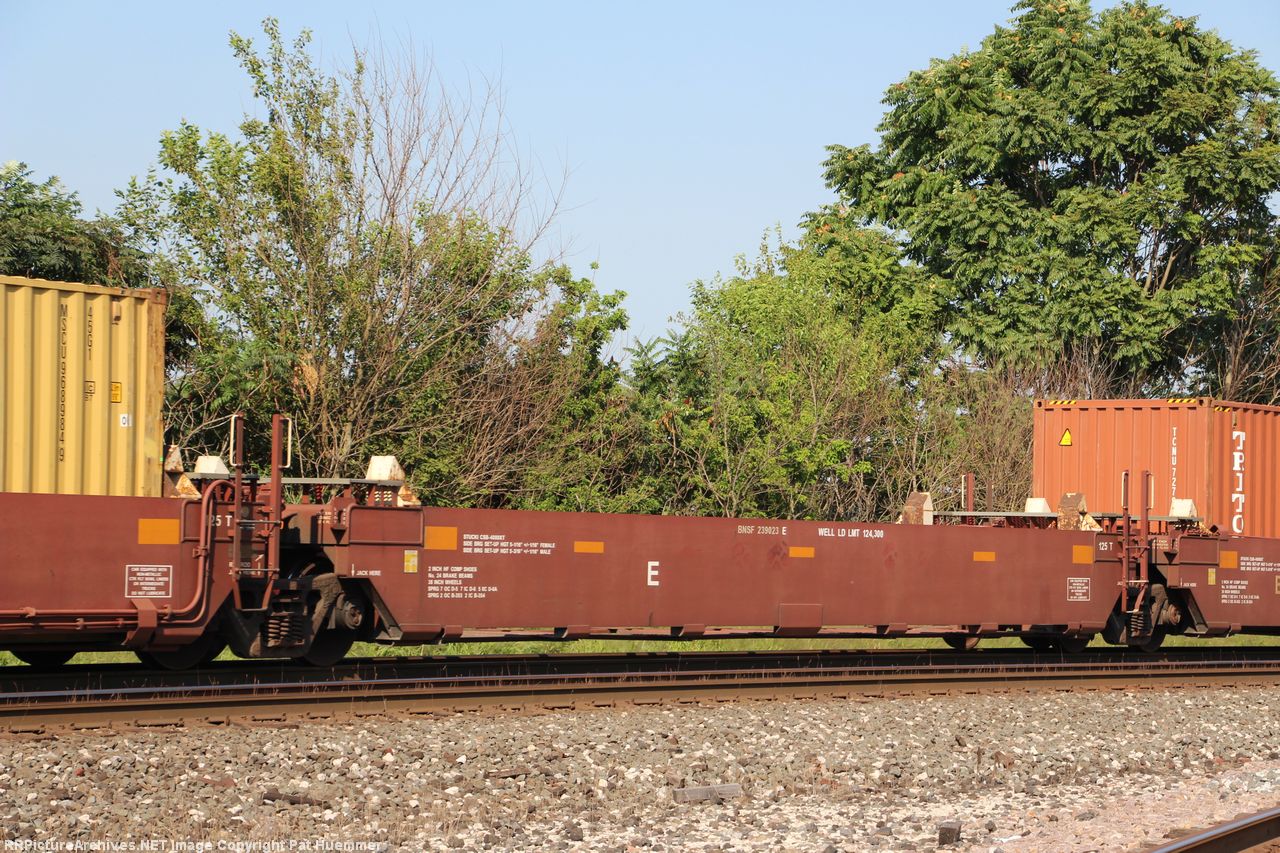 BNSF 239023