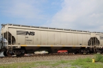 NS 295949