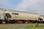 NS 295294