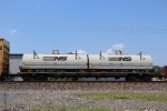 NS 169194