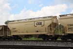CSX 243621