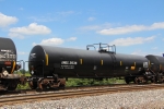 AMOX 21538