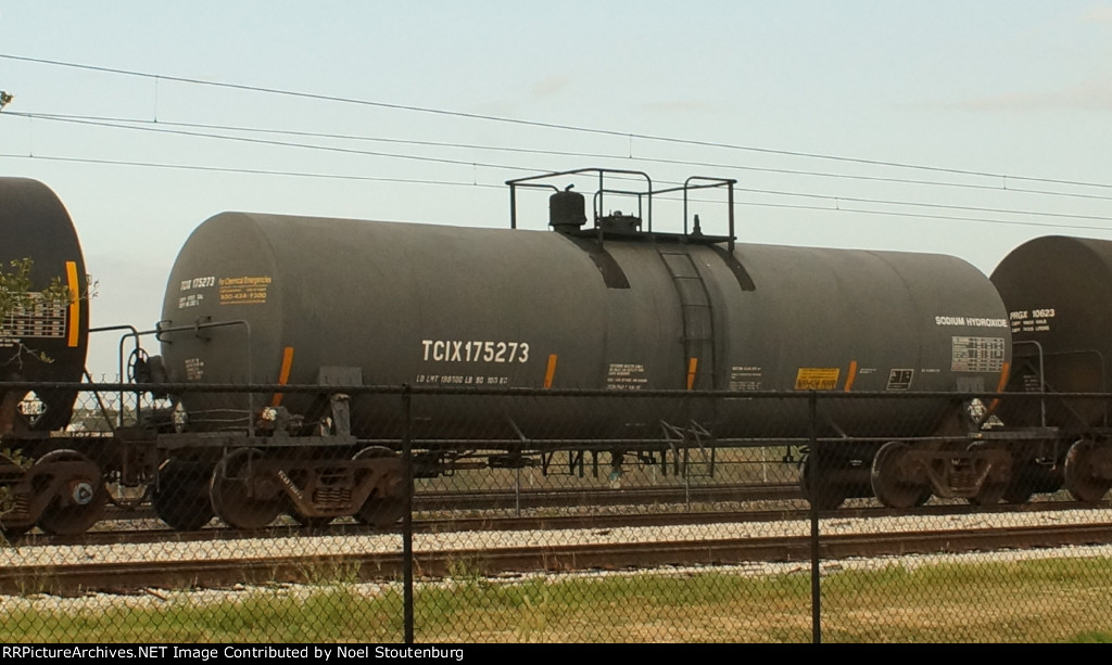 TCIX 175273