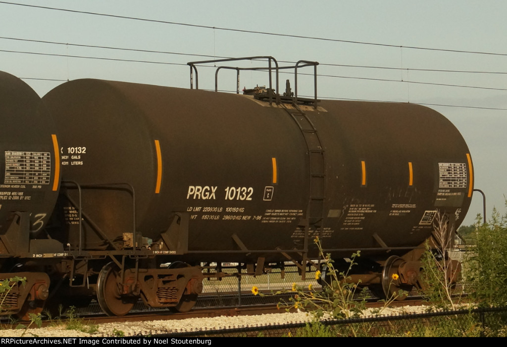 PRGX 10132