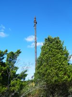 Still Guarding the Branch...32 Years Later 