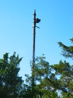 Still Guarding the Branch...32 Years Later