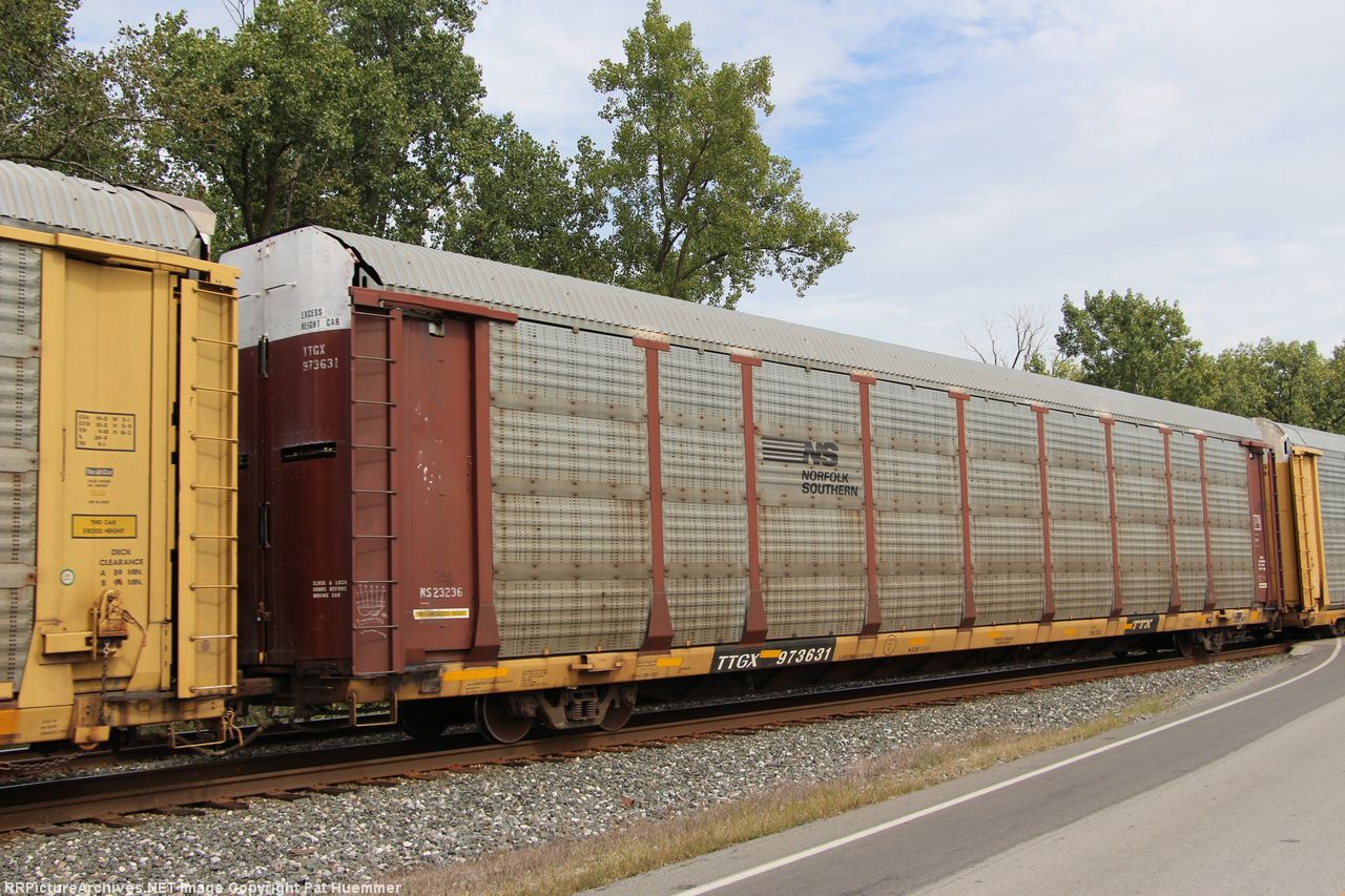 TTGX 973631