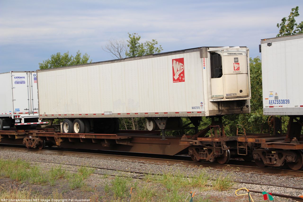FEC 300518
