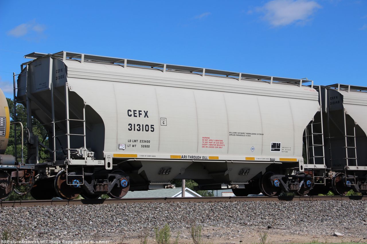 CEFX 313105