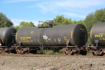 UTLX 64979