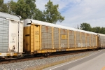 TTGX 964231