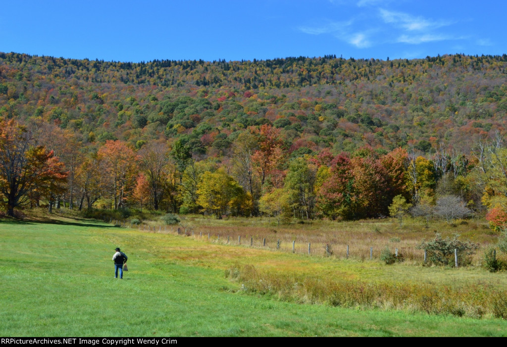 The photos don't do it justice.