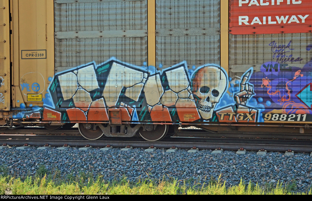 TTGX 988211
