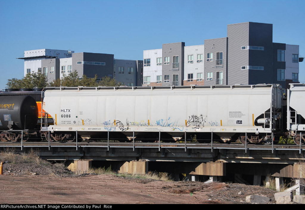 HLTX 6086