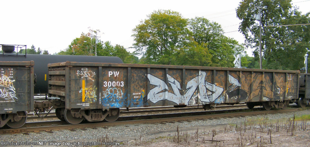 PW 30003