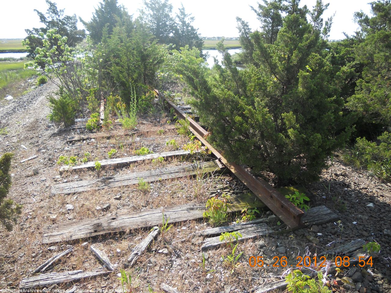 Start of the sole remaining rail on the Ocean City Branch