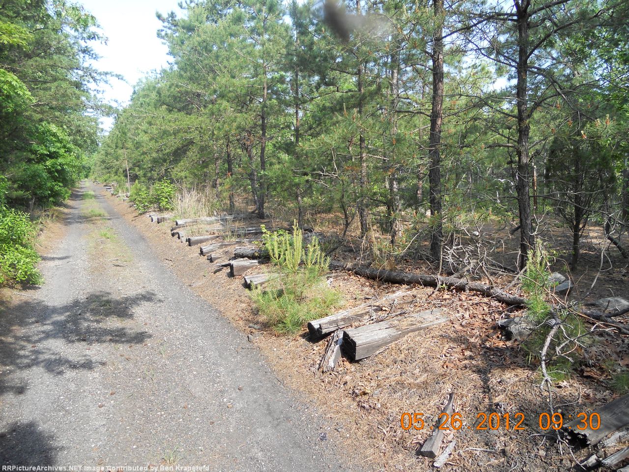 Roadbed in the woods on the mainland