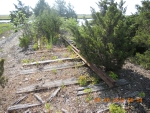 Start of the sole remaining rail on the Ocean City Branch