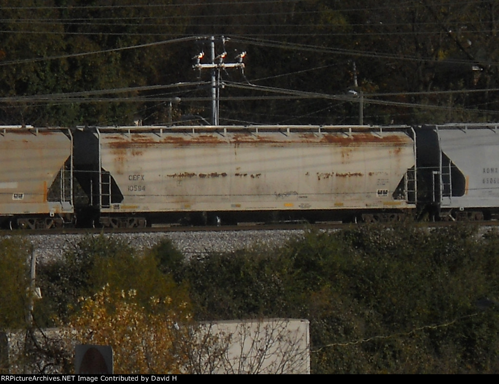 CEFX 10594