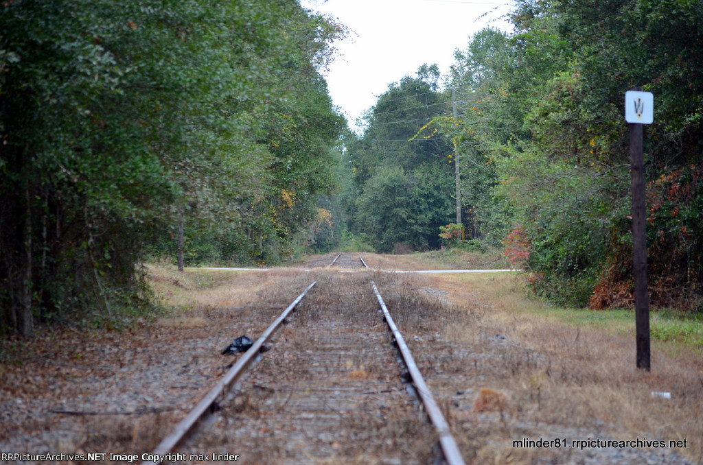 North towards Yemaseee