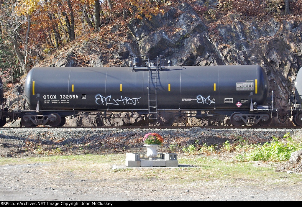 CTCX 732859