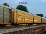 BTTX 880081  07/09/2006
