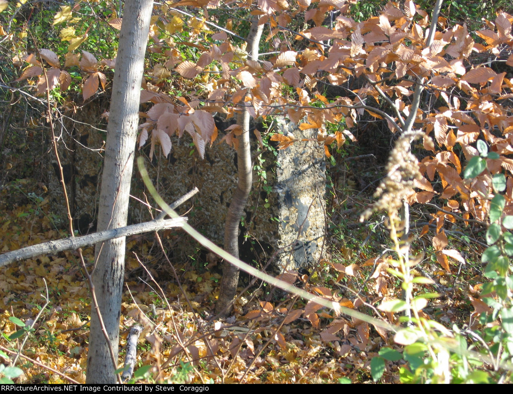 Old Remains Are Still Around