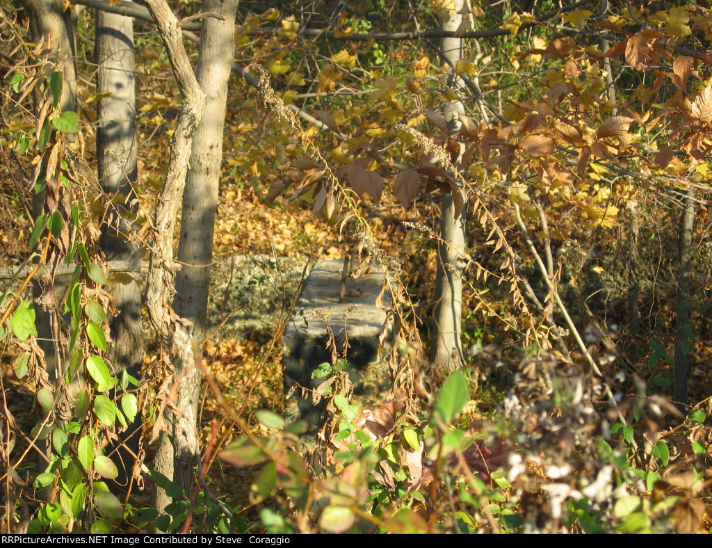 Never No What You May Find 