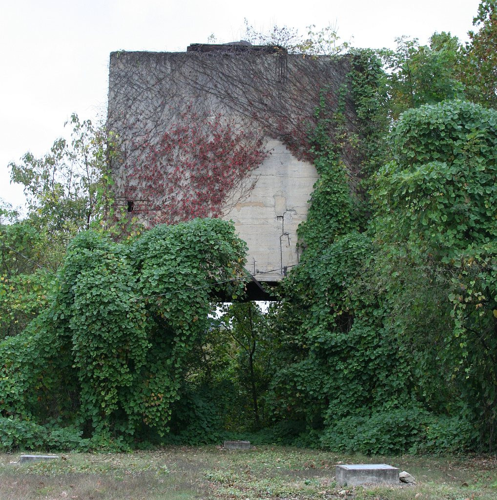 C&O coal tower blending in its environment