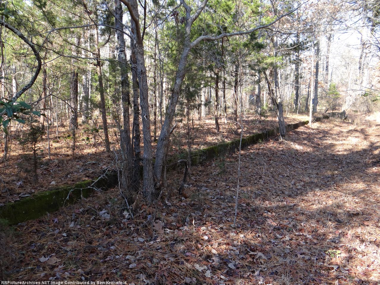 Station Platform Curbing