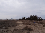 Looking towards Sea Isle City