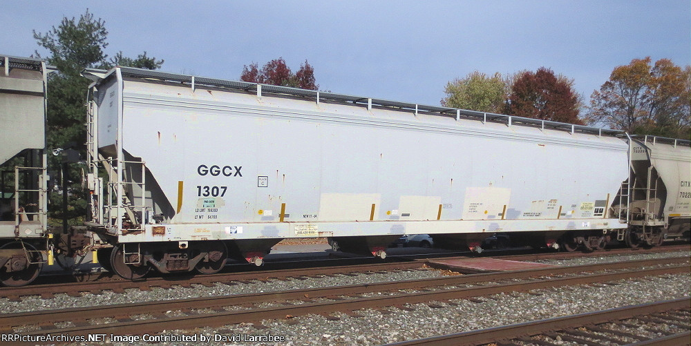 GGCX 1307