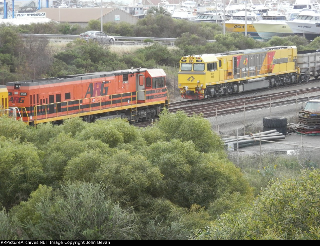 P 2503 meets ACN4168