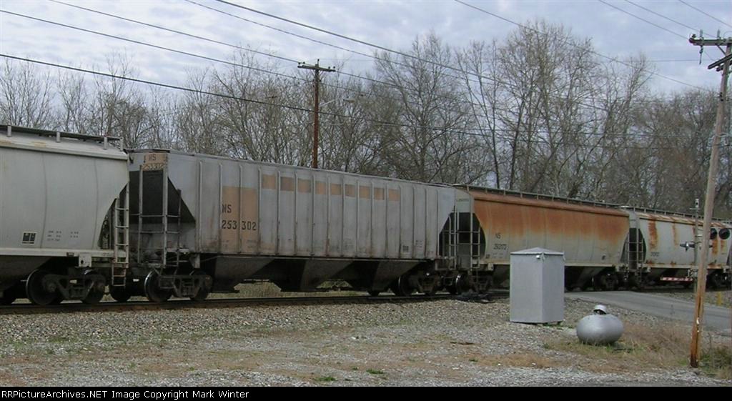 NS 253302