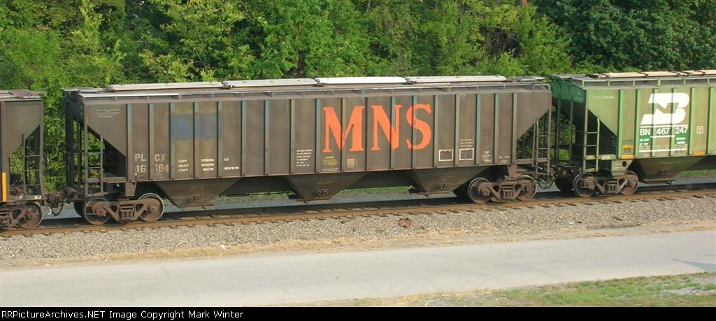 PLCX 16184, MNS, 