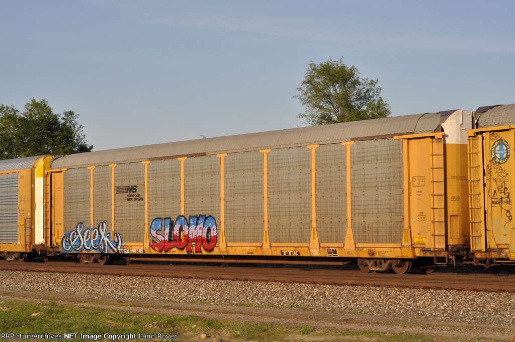 NS / TTGX 996585