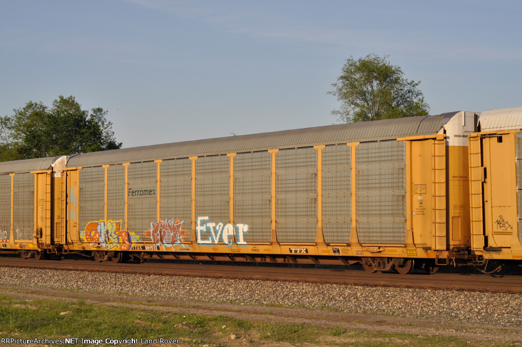FXE / TTGX 991513