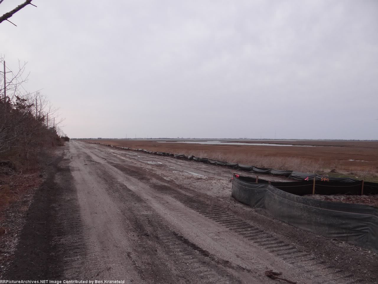 Wildwood in the distance