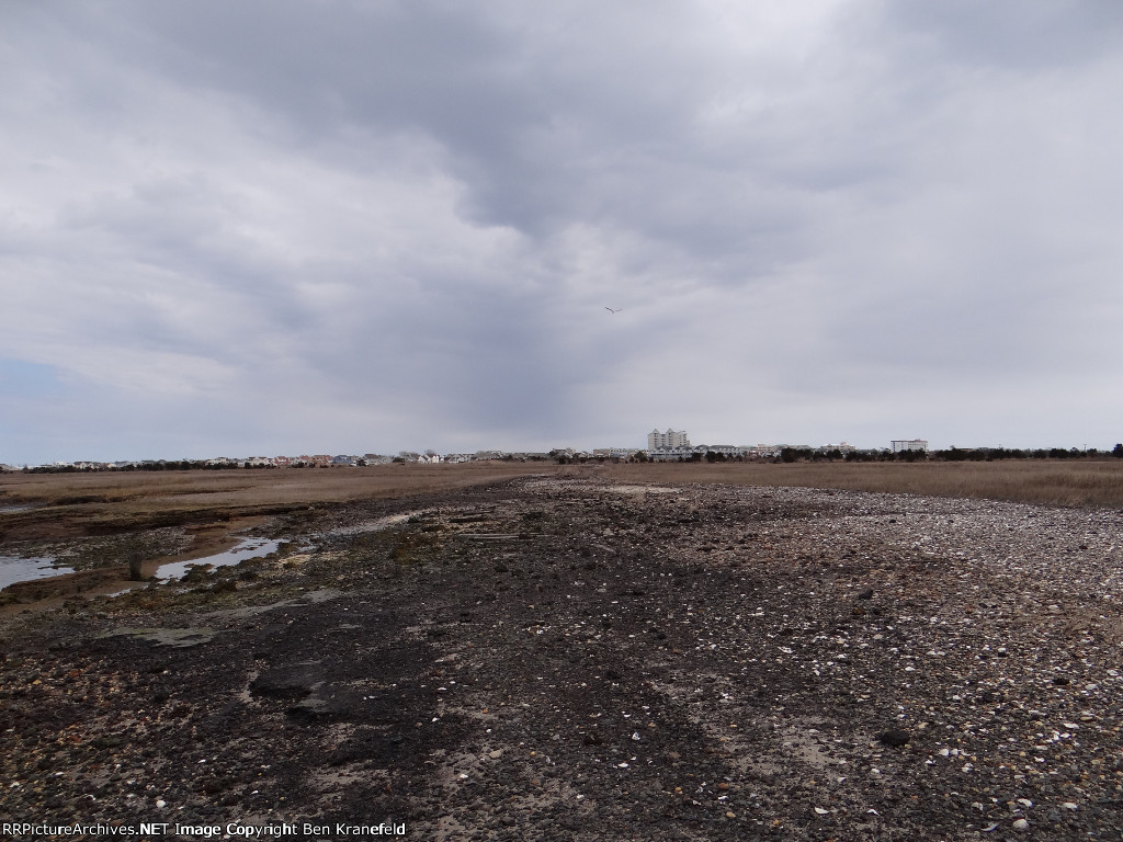 Cold Spring Harbor Loop