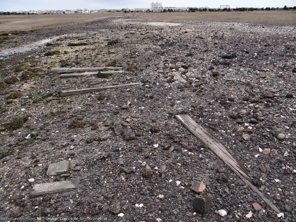 Cold Spring Harbor Loop