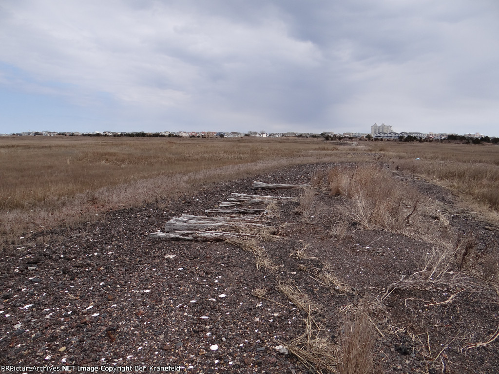 Cold Spring Harbor Loop