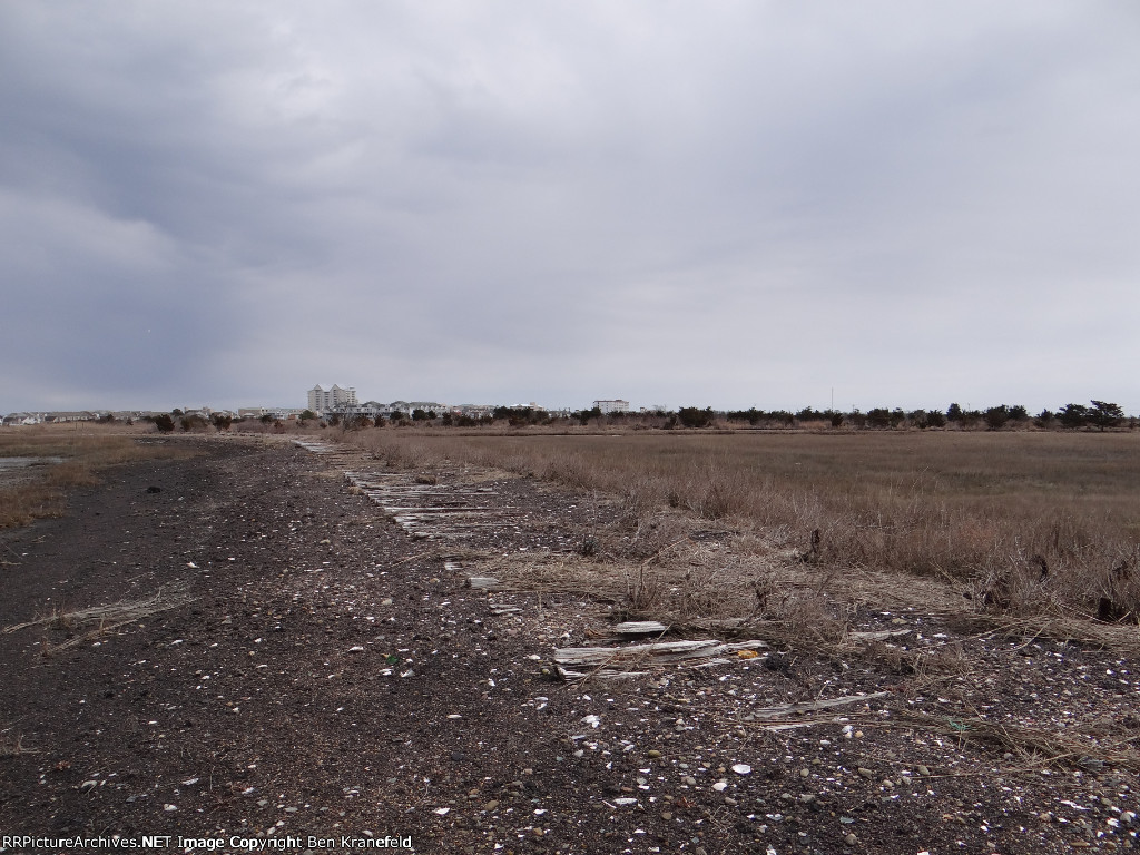 Cold Spring Harbor Loop