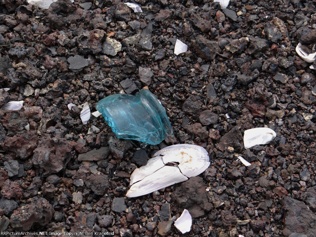 Cold Spring Harbor Loop