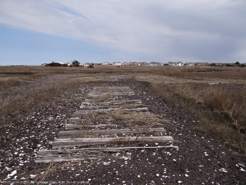 Cold Spring Harbor Loop